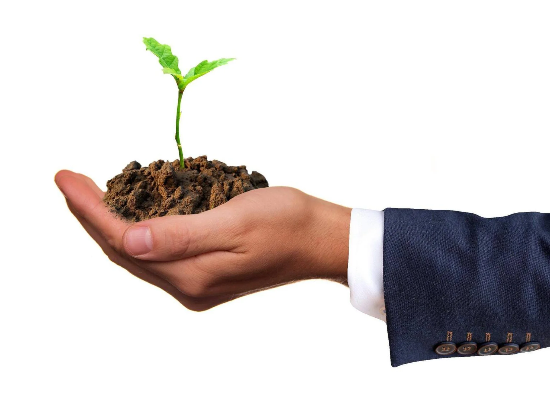 A AENEBEIRA celebra protocolo com a Confederação dos Agricultores de Portugal (CAP)