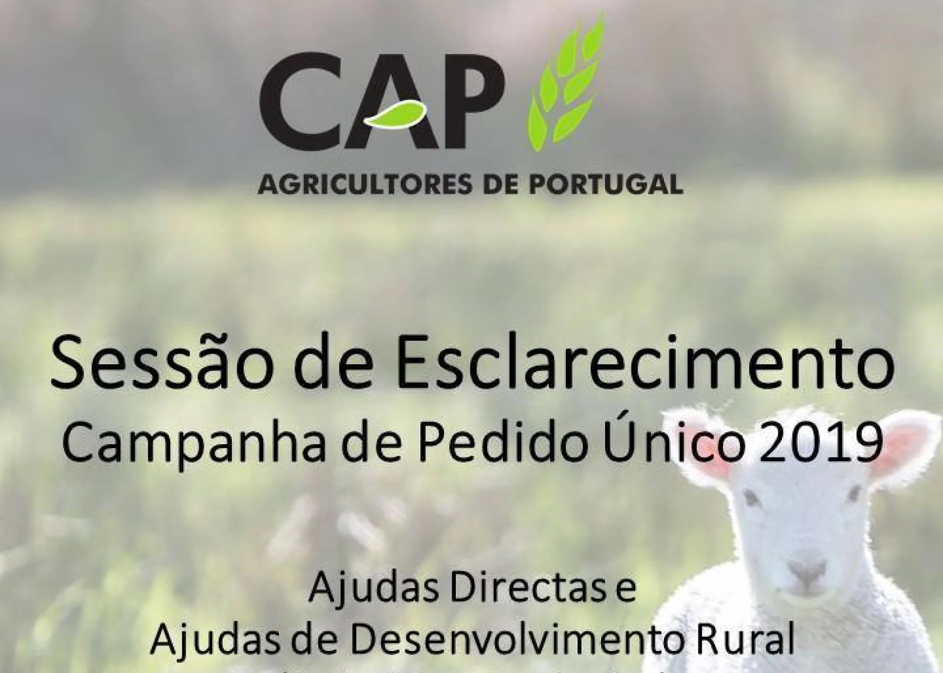 Sessão de Esclarecimento – Campanha de Pedido Único 2019