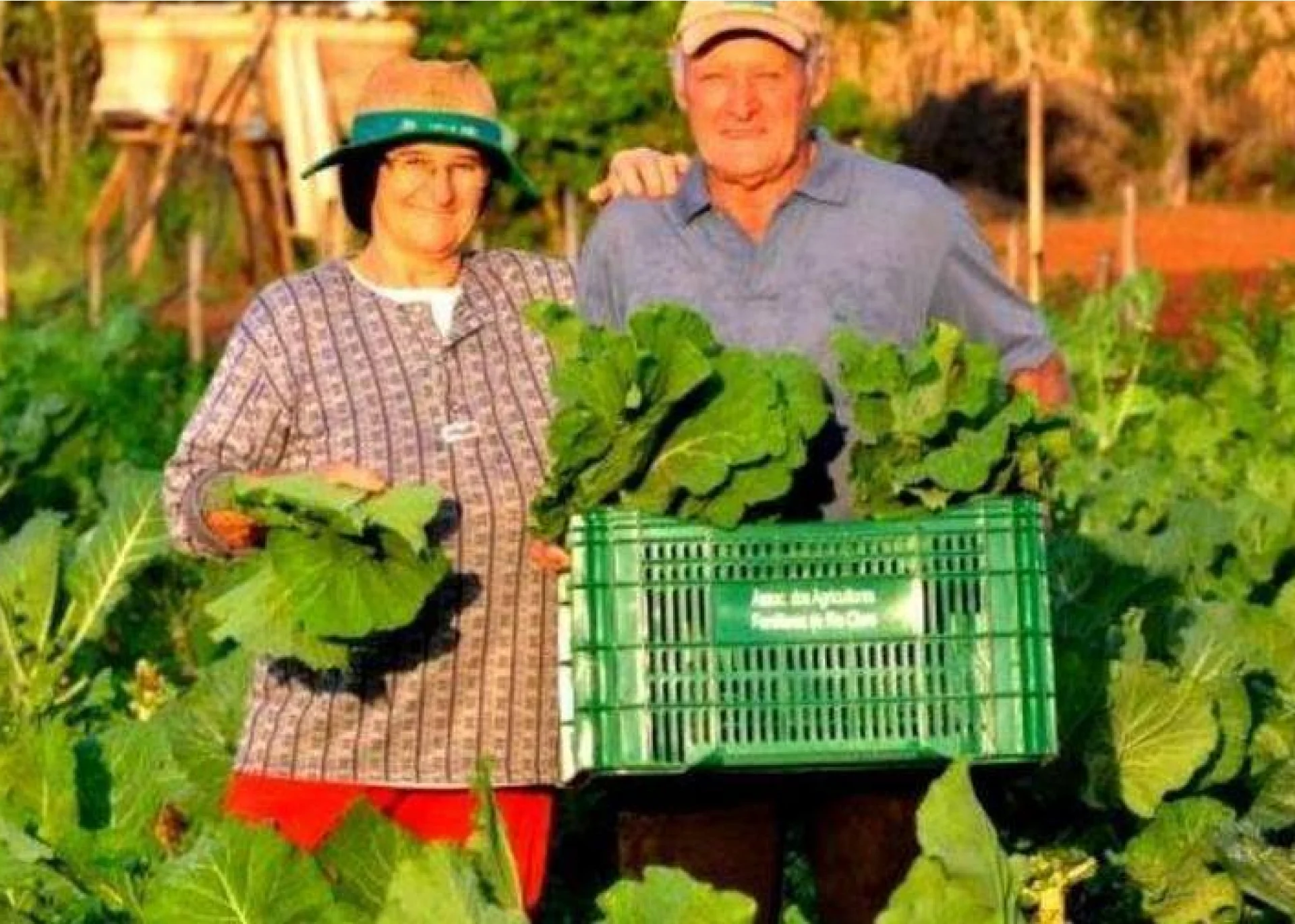 Pequenos investimentos na exploração agrícola